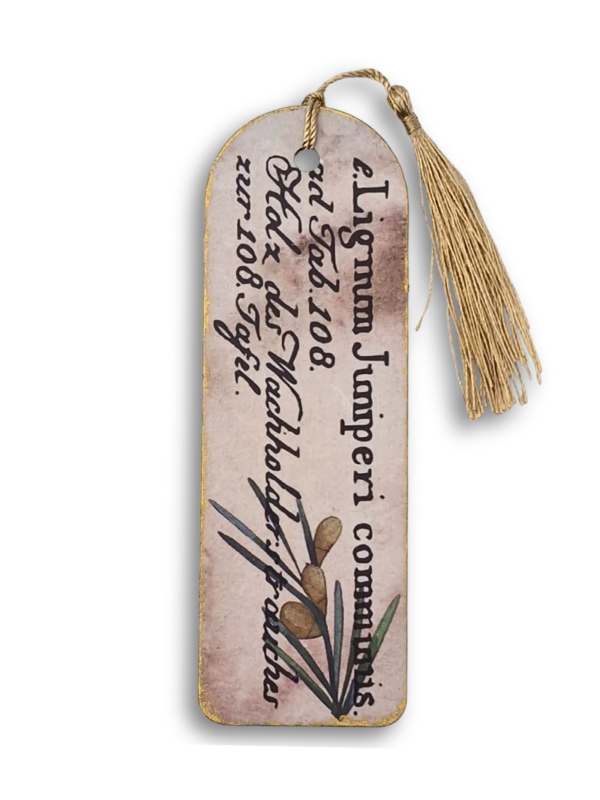 Zakładka drewniana botaniczna Jałowiec