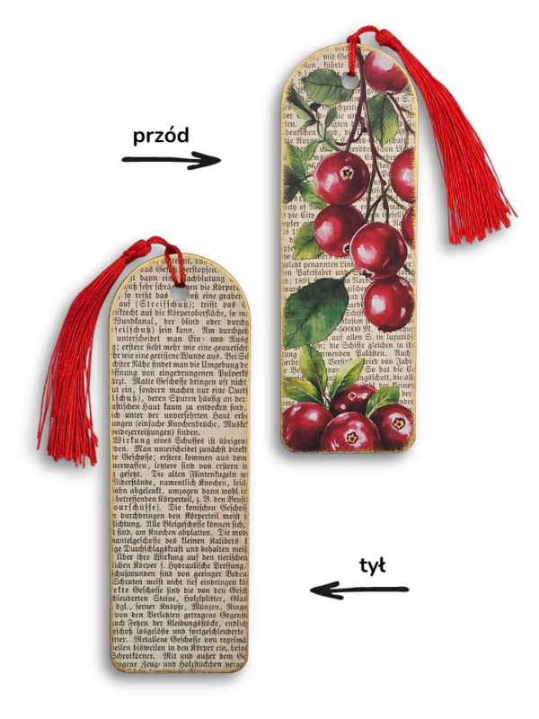 zakładka_drewniana_czerwone_porzeczki_B_03 zakładka vintage botaniczna z owocowym motywem czerwonej porzeczki